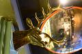 IMG-20191014-WA0155