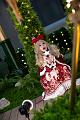 IMG-20231219-WA0146