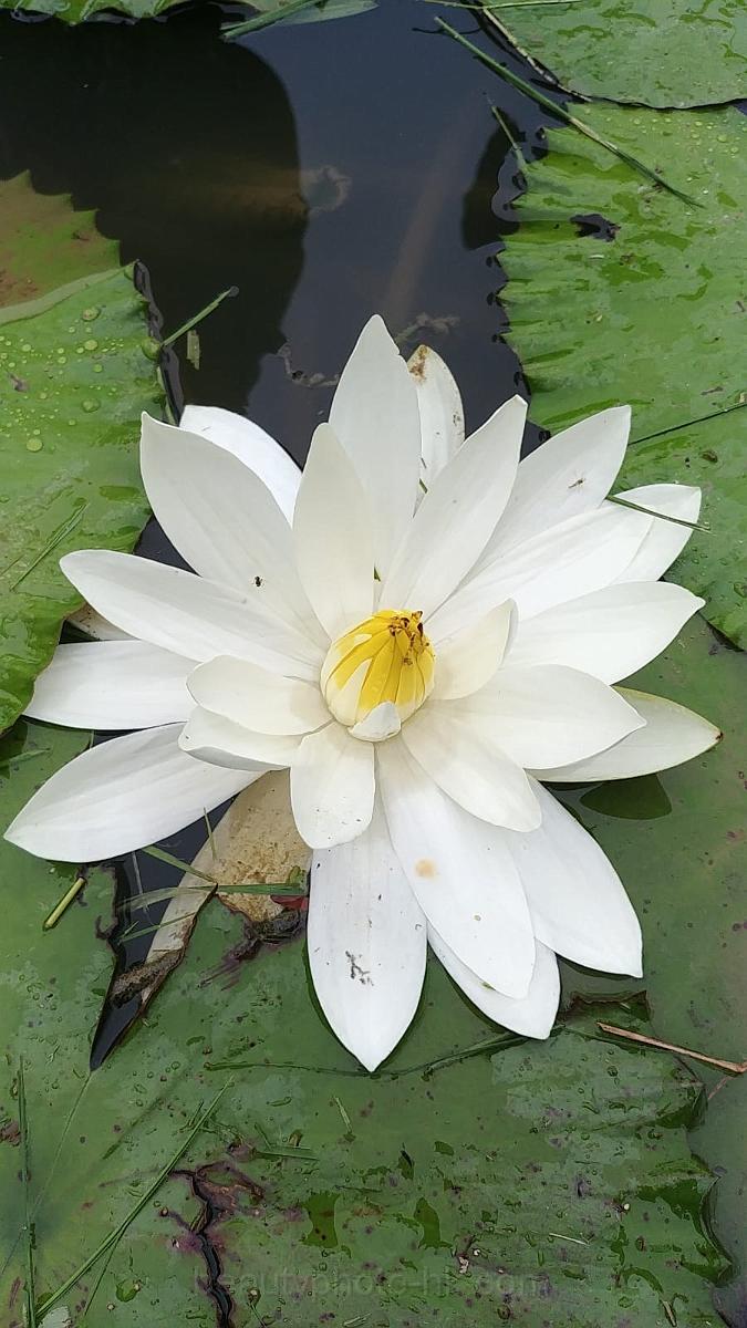 IMG-20190624-WA0014.jpg