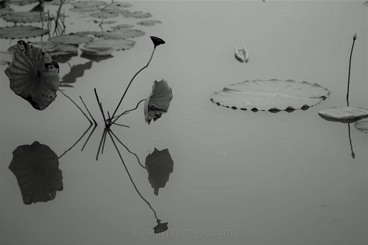 IMG-20190626-WA0127.jpg