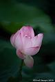 IMG-20190601-WA0008