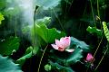 IMG-20190614-WA0027