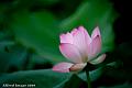 IMG-20190614-WA0036