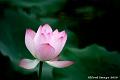 IMG-20190614-WA0037