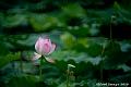 IMG-20190614-WA0038