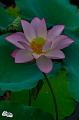 IMG-20190624-WA0002