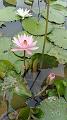 IMG-20190624-WA0015