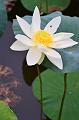 IMG-20190624-WA0016
