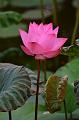 IMG-20190624-WA0018