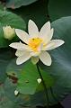 IMG-20190624-WA0019