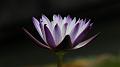 IMG-20190624-WA0035