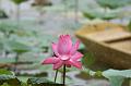 IMG-20190624-WA0037