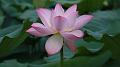 IMG-20190624-WA0041