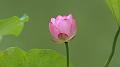 IMG-20190624-WA0042