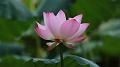 IMG-20190624-WA0043