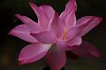 IMG-20190624-WA0052