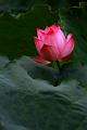 IMG-20190624-WA0075
