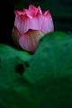 IMG-20190624-WA0079