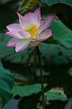 IMG-20190624-WA0080