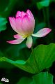 IMG-20190624-WA0082