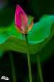 IMG-20190624-WA0083