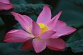 IMG-20190624-WA0084