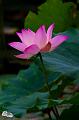 IMG-20190624-WA0088