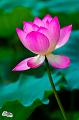 IMG-20190624-WA0089