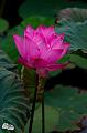 IMG-20190624-WA0091