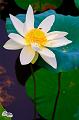 IMG-20190624-WA0092