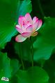 IMG-20190624-WA0094