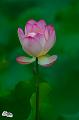 IMG-20190624-WA0096