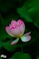 IMG-20190624-WA0097