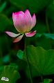 IMG-20190624-WA0098