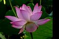 IMG-20190624-WA0105