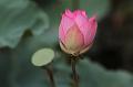 IMG-20190624-WA0113