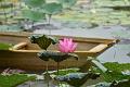 IMG-20190624-WA0141