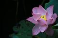 IMG-20190624-WA0149
