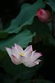IMG-20190624-WA0150