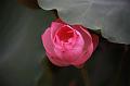 IMG-20190624-WA0152