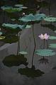 IMG-20190624-WA0153
