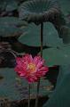 IMG-20190624-WA0154