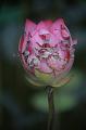 IMG-20190624-WA0157