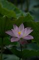 IMG-20190625-WA0013