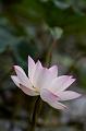 IMG-20190625-WA0019
