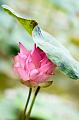 IMG-20190625-WA0020