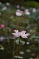 IMG-20190625-WA0022