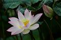 IMG-20190625-WA0024