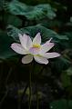 IMG-20190625-WA0031