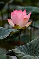 IMG-20190625-WA0034